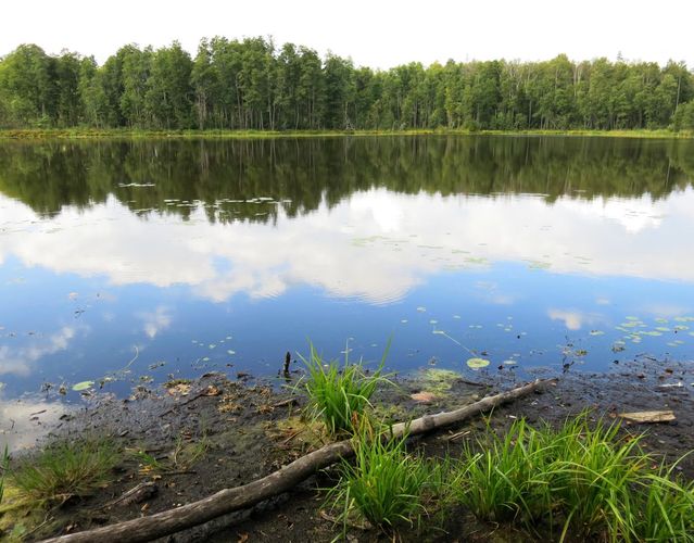 Maakond: Viljandimaa Veekogu nimi: Vanamõisa järv Pildistamise aeg: 31. august 2013 Pildistaja: H. Timm Pildistamise koht: teadmata Asimuut: