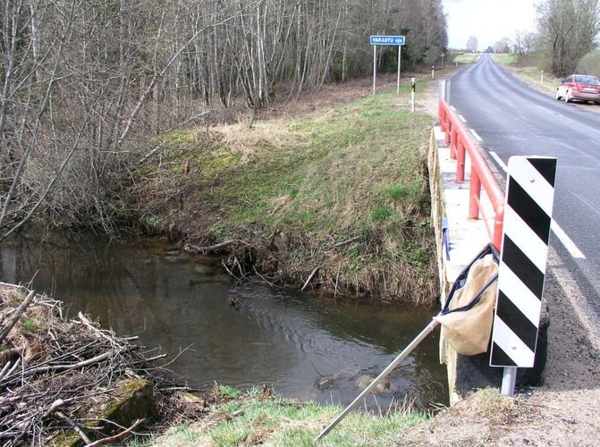 Maakond: Viljandimaa Veekogu nimi: Varastu oja Pildistamise aeg: 20. mai 2007 Pildistaja: H. Timm Pildistamise koht: teadmata Asimuut: