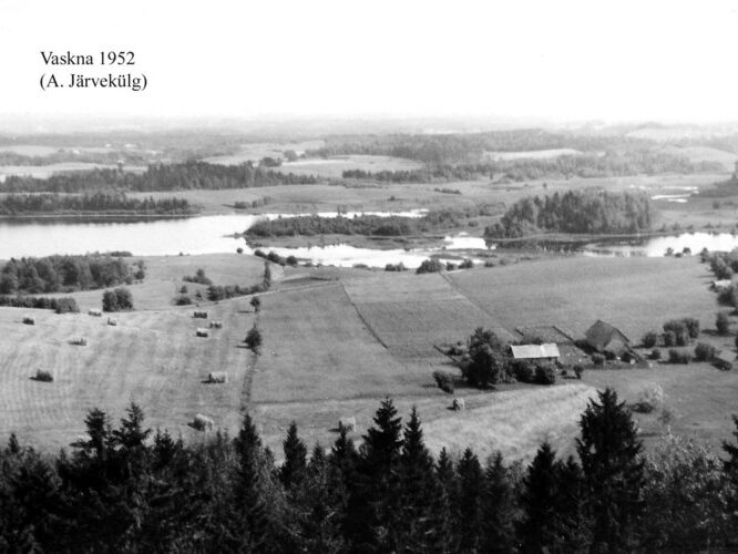 Maakond: Võrumaa Veekogu nimi: Vaskna järv Pildistamise aeg: 1952 Pildistaja: A. Järvekülg Pildistamise koht: teadmata Asimuut: