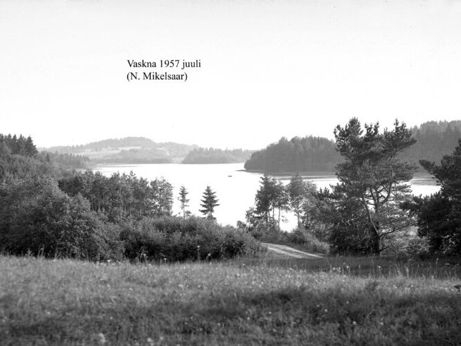 Maakond: Võrumaa Veekogu nimi: Vaskna järv Pildistamise aeg: juuli 1957 Pildistaja: N. Mikelsaar Pildistamise koht: teadmata Asimuut: