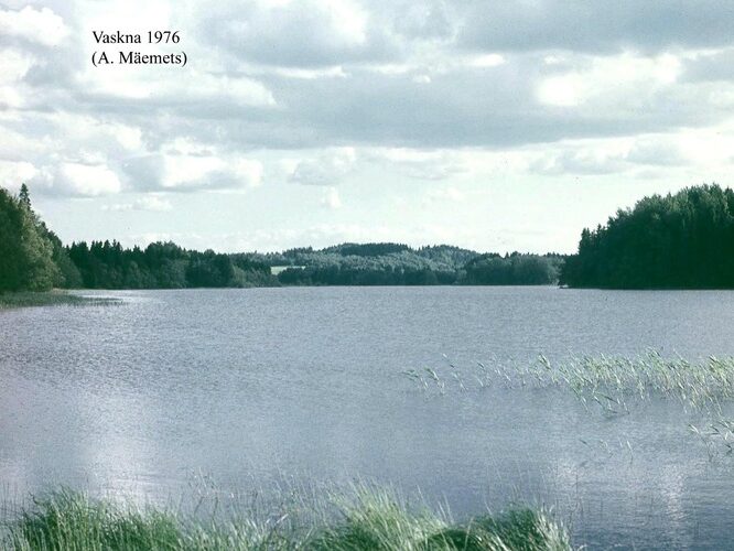 Maakond: Võrumaa Veekogu nimi: Vaskna järv Pildistamise aeg: 1976 Pildistaja: A. Mäemets Pildistamise koht: N-otsast Asimuut: SSW