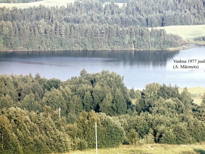 Maakond: Võrumaa Veekogu nimi: Vaskna järv Pildistamise aeg: juuli 1977 Pildistaja: A. Mäemets Pildistamise koht: Suure Munam Asimuut: