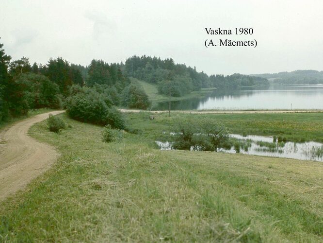 Maakond: Võrumaa Veekogu nimi: Vaskna järv Pildistamise aeg: 1980 Pildistaja: A. Mäemets Pildistamise koht: N-otsast Asimuut: SSW