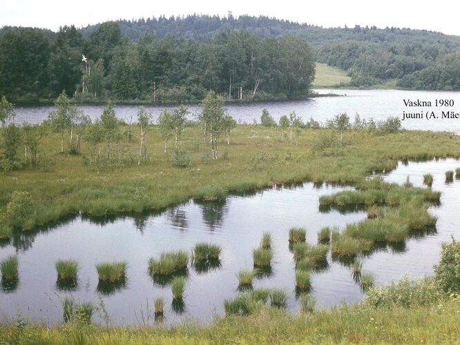 Maakond: Võrumaa Veekogu nimi: Vaskna järv Pildistamise aeg: juuni 1980 Pildistaja: A. Mäemets Pildistamise koht: SE kaldalt, taga Munam Asimuut: WNW