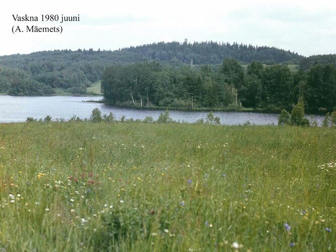 Maakond: Võrumaa Veekogu nimi: Vaskna järv Pildistamise aeg: juuni 1980 Pildistaja: A. Mäemets Pildistamise koht: teadmata Asimuut: