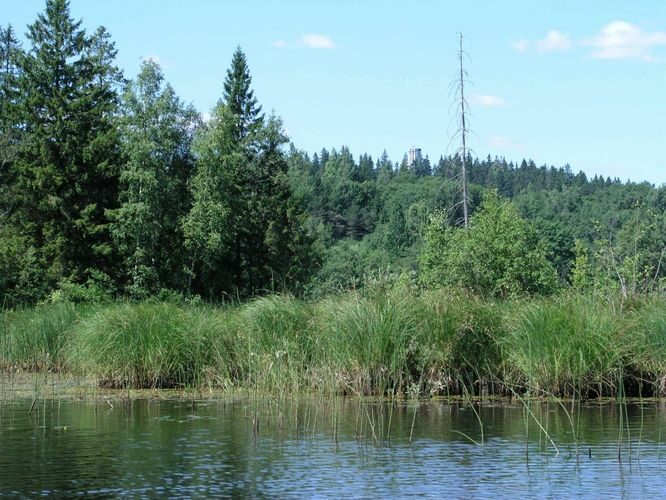 Maakond: Võrumaa Veekogu nimi: Vaskna järv Pildistamise aeg: 13. juuli 2005 Pildistaja: H. Timm Pildistamise koht: järvelt Asimuut: