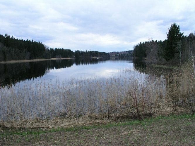 Maakond: Võrumaa Veekogu nimi: Vaskna järv Pildistamise aeg: 13. juuli 2005 Pildistaja: H. Timm Pildistamise koht: teadmata Asimuut: