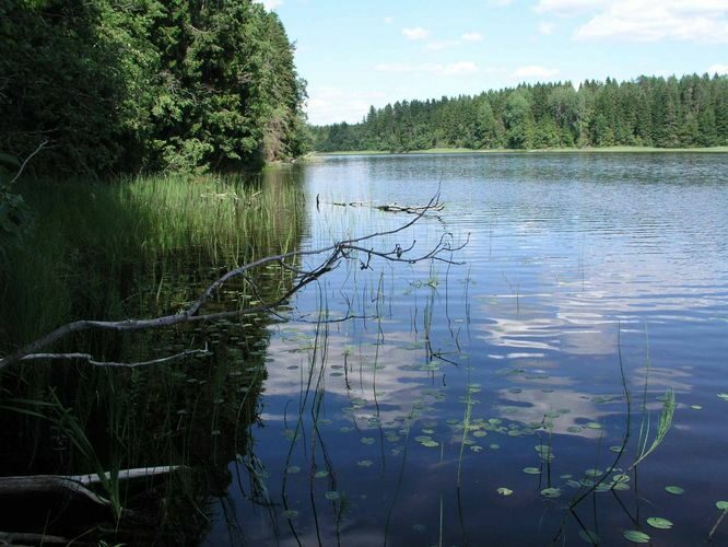 Maakond: Võrumaa Veekogu nimi: Vaskna järv Pildistamise aeg: 13. juuli 2005 Pildistaja: H. Timm Pildistamise koht: teadmata Asimuut: