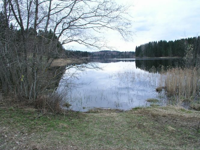 Maakond: Võrumaa Veekogu nimi: Vaskna järv Pildistamise aeg: 13. juuli 2005 Pildistaja: H. Timm Pildistamise koht: teadmata Asimuut: