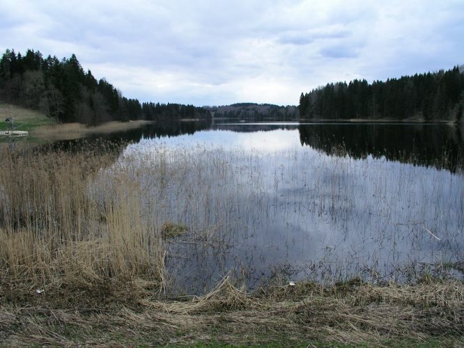 Maakond: Võrumaa Veekogu nimi: Vaskna järv Pildistamise aeg: 13. juuli 2005 Pildistaja: H. Timm Pildistamise koht: teadmata Asimuut: