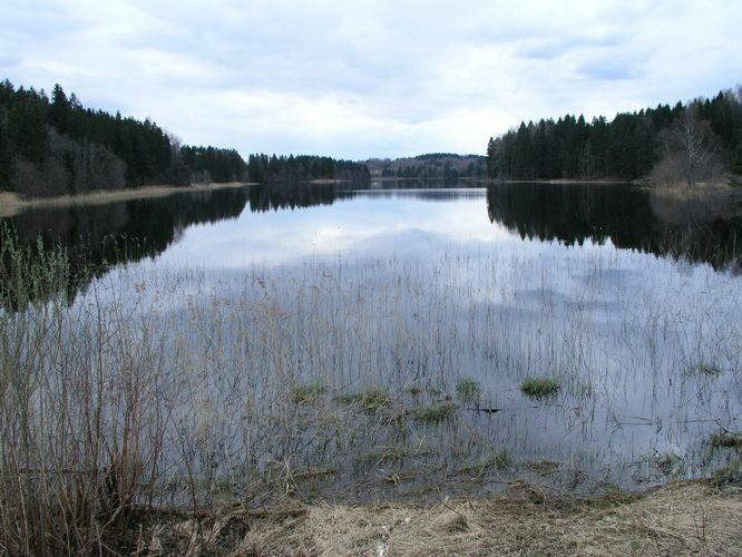 Maakond: Võrumaa Veekogu nimi: Vaskna järv Pildistamise aeg: 13. juuli 2005 Pildistaja: H. Timm Pildistamise koht: teadmata Asimuut: