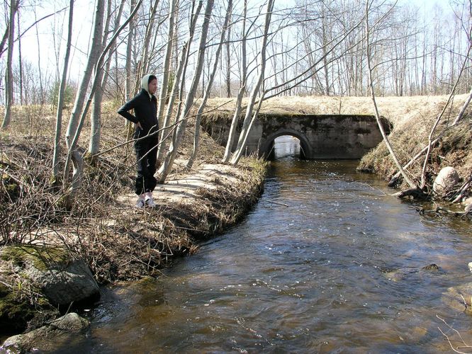 Maakond: Viljandimaa Veekogu nimi: Vastemõisa oja Pildistamise aeg: 25. aprill 2009 Pildistaja: H. Timm Pildistamise koht: Ivaski Asimuut: