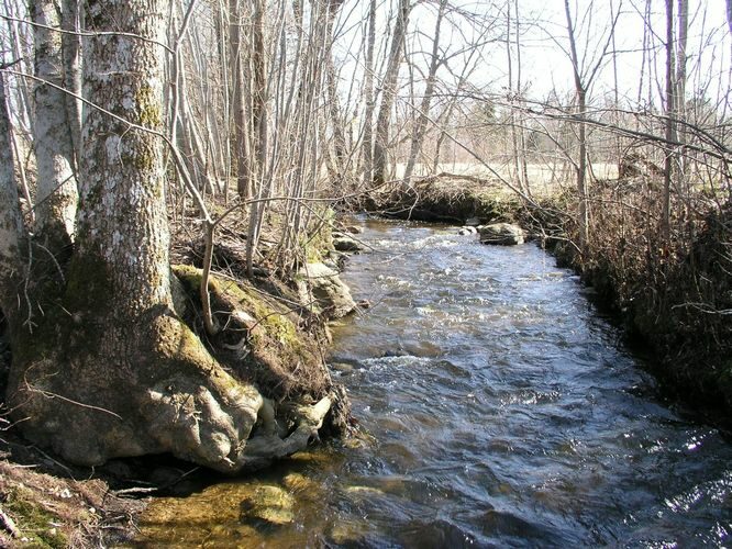 Maakond: Viljandimaa Veekogu nimi: Vastemõisa oja Pildistamise aeg: 25. aprill 2009 Pildistaja: H. Timm Pildistamise koht: Ivaski Asimuut: