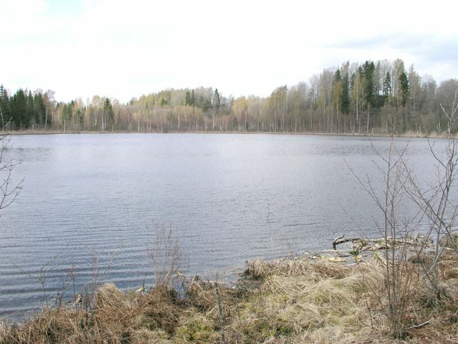 Maakond: Võrumaa Veekogu nimi: Veesjärv Pildistamise aeg: 9. mai 2003 Pildistaja: H. Timm Pildistamise koht: teadmata Asimuut: