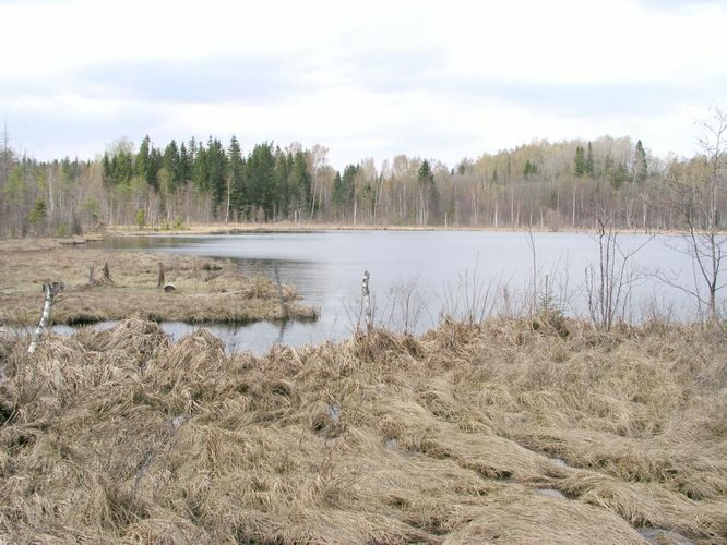 Maakond: Võrumaa Veekogu nimi: Veesjärv Pildistamise aeg: 9. mai 2003 Pildistaja: H. Timm Pildistamise koht: teadmata Asimuut: