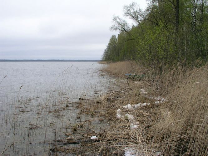 Maakond: Viljandimaa Veekogu nimi: Veisjärv Pildistamise aeg: 9. mai 2007 Pildistaja: H. Timm Pildistamise koht: teadmata Asimuut: