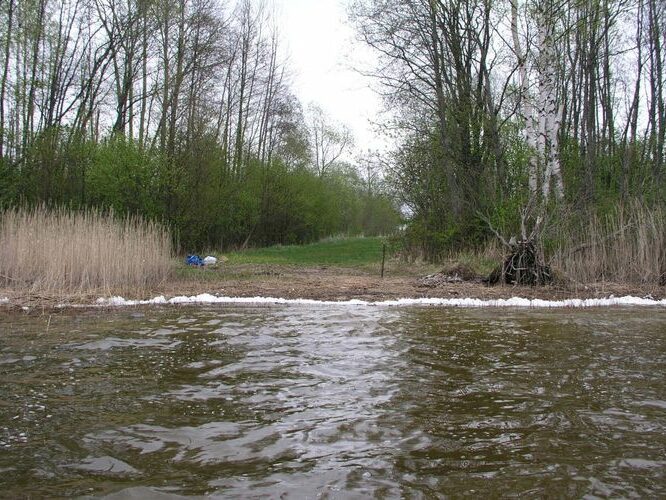 Maakond: Viljandimaa Veekogu nimi: Veisjärv Pildistamise aeg: 9. mai 2007 Pildistaja: H. Timm Pildistamise koht: teadmata Asimuut: