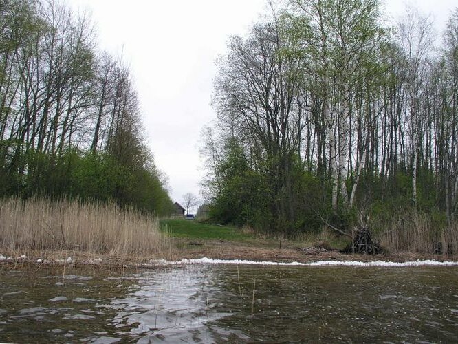 Maakond: Viljandimaa Veekogu nimi: Veisjärv Pildistamise aeg: 9. mai 2007 Pildistaja: H. Timm Pildistamise koht: teadmata Asimuut: