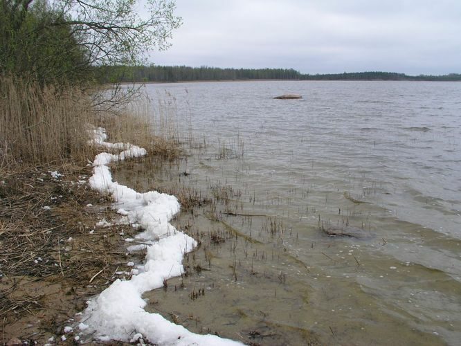 Maakond: Viljandimaa Veekogu nimi: Veisjärv Pildistamise aeg: 9. mai 2007 Pildistaja: H. Timm Pildistamise koht: teadmata Asimuut: