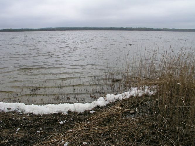 Maakond: Viljandimaa Veekogu nimi: Veisjärv Pildistamise aeg: 9. mai 2007 Pildistaja: H. Timm Pildistamise koht: teadmata Asimuut: