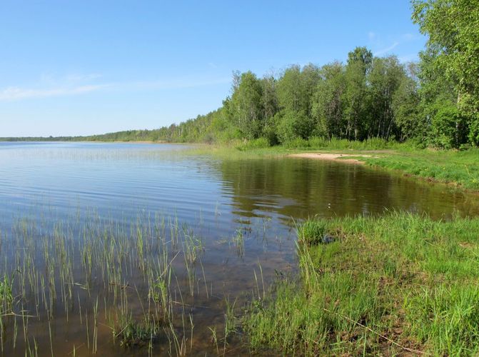 Maakond: Viljandimaa Veekogu nimi: Veisjärv Pildistamise aeg: 20. mai 2010 Pildistaja: H. Timm Pildistamise koht: teadmata Asimuut: