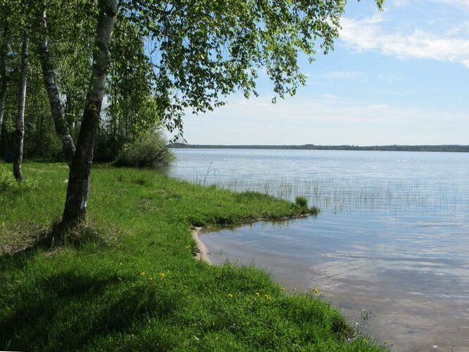 Maakond: Viljandimaa Veekogu nimi: Veisjärv Pildistamise aeg: 20. mai 2010 Pildistaja: H. Timm Pildistamise koht: teadmata Asimuut: