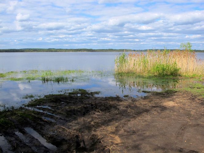 Maakond: Viljandimaa Veekogu nimi: Veisjärv Pildistamise aeg: 15. mai 2012 Pildistaja: H. Timm Pildistamise koht: teadmata Asimuut: