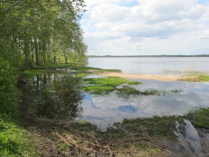 Maakond: Viljandimaa Veekogu nimi: Veisjärv Pildistamise aeg: 15. mai 2012 Pildistaja: H. Timm Pildistamise koht: teadmata Asimuut: