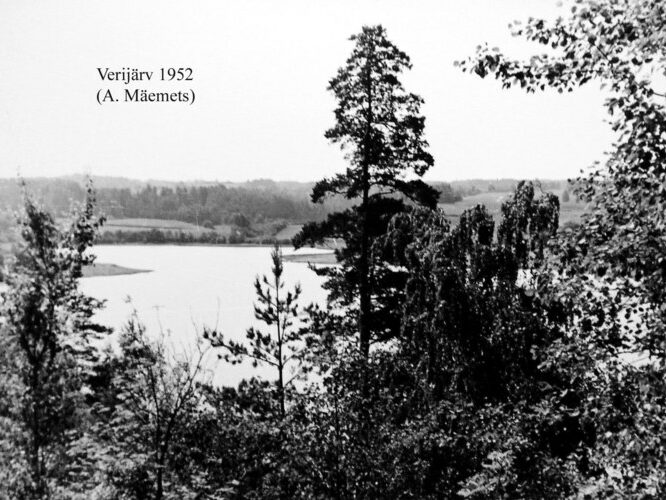 Maakond: Võrumaa Veekogu nimi: Verijärv Pildistamise aeg: 1952 Pildistaja: A. Mäemets Pildistamise koht: teadmata Asimuut: