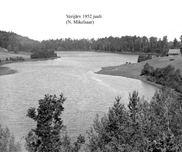 Maakond: Võrumaa Veekogu nimi: Verijärv Pildistamise aeg: juuli 1952 Pildistaja: N. Mikelsaar Pildistamise koht: SE-otsast Asimuut: NW