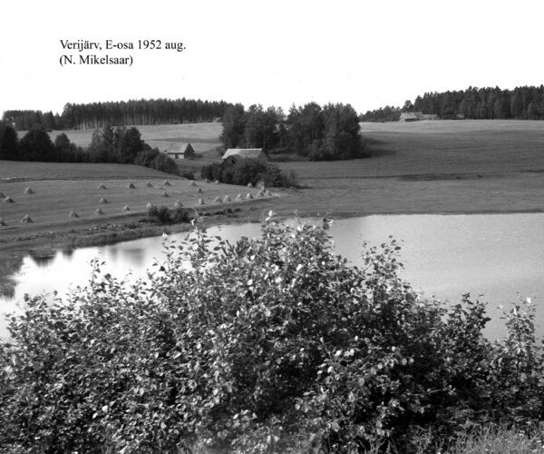 Maakond: Võrumaa Veekogu nimi: Verijärv Pildistamise aeg: august 1952 Pildistaja: N. Mikelsaar Pildistamise koht: SE-otsast Asimuut: W