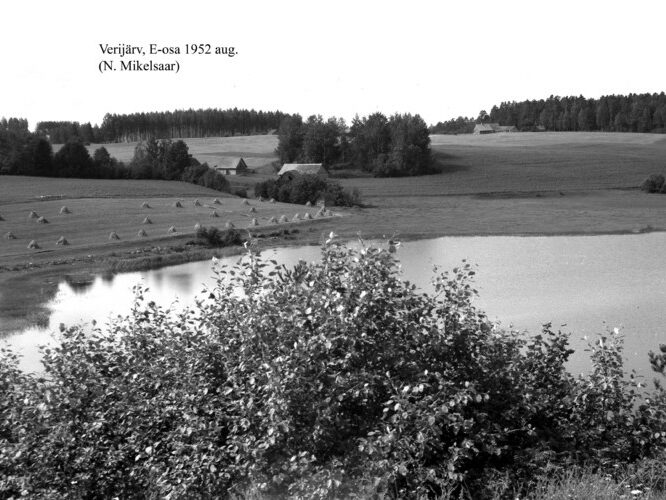 Maakond: Võrumaa Veekogu nimi: Verijärv Pildistamise aeg: august 1952 Pildistaja: N. Mikelsaar Pildistamise koht: SE-otsast Asimuut: W