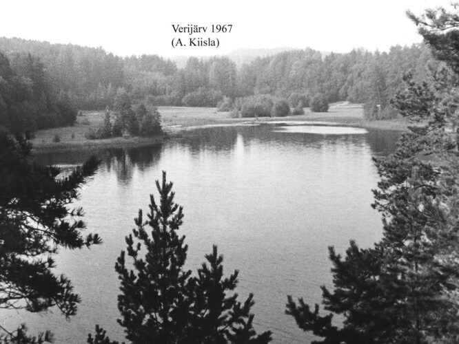 Maakond: Võrumaa Veekogu nimi: Verijärv Pildistamise aeg: 1967 Pildistaja: A. Kiisla (Eesti Looduse arhiiv) Pildistamise koht: teadmata Asimuut: