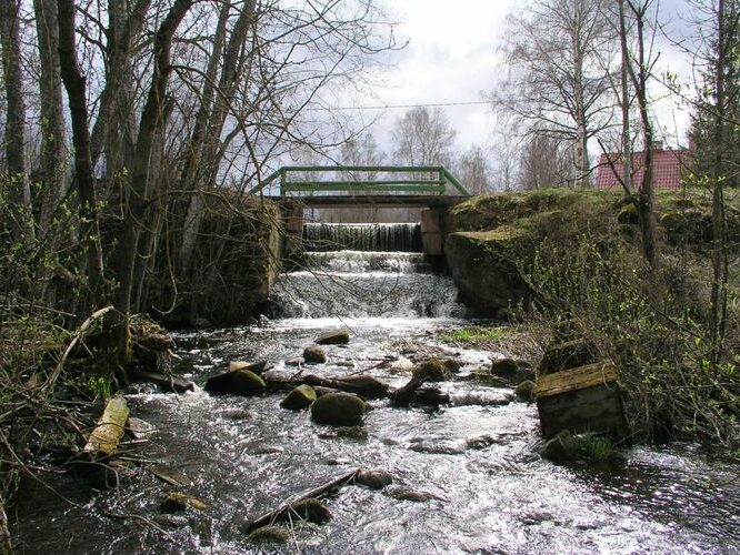 Maakond: Viljandimaa Veekogu nimi: Verilaske oja Pildistamise aeg: 20. aprill 2007 Pildistaja: H. Timm Pildistamise koht: teadmata Asimuut: