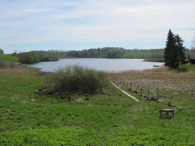 Maakond: Valgamaa Veekogu nimi: Vidrike järv Pildistamise aeg: 10. mai 2012 Pildistaja: H. Timm Pildistamise koht: teadmata Asimuut: