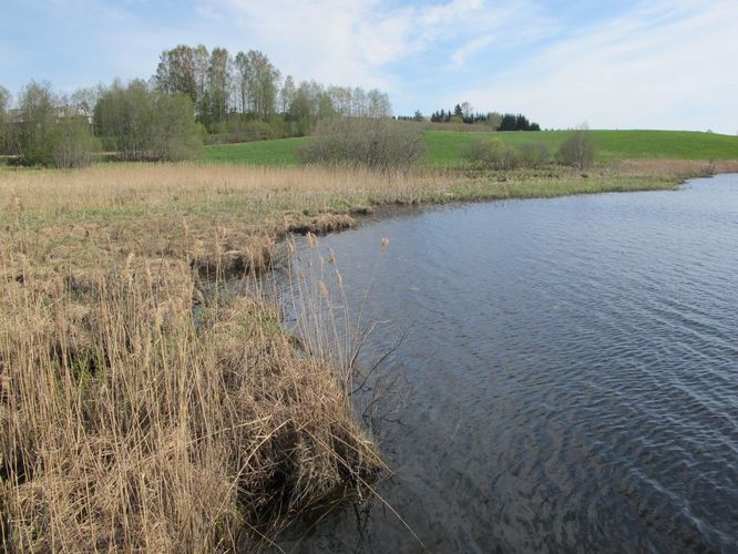 Maakond: Valgamaa Veekogu nimi: Vidrike järv Pildistamise aeg: 10. mai 2012 Pildistaja: H. Timm Pildistamise koht: teadmata Asimuut: