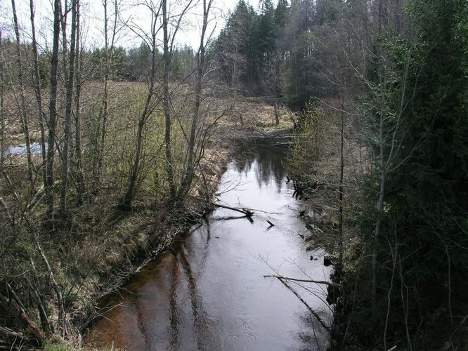 Maakond: Viljandimaa Veekogu nimi: Vidva oja Pildistamise aeg: 24. aprill 2008 Pildistaja: H. Timm Pildistamise koht: teadmata Asimuut: