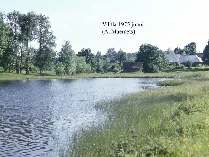 Maakond: Võrumaa Veekogu nimi: Vihtla järv Pildistamise aeg: juuni 1975 Pildistaja: A. Mäemets Pildistamise koht: SW kaldalt Asimuut: SE