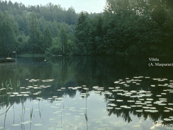 Maakond: Võrumaa Veekogu nimi: Vihtla järv Pildistamise aeg: teadmata Pildistaja: A. Maspuran Pildistamise koht: teadmata Asimuut: