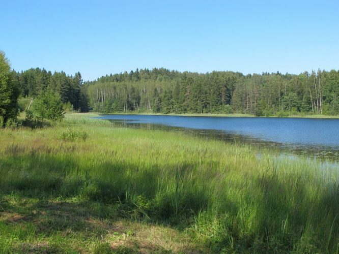 Maakond: Võrumaa Veekogu nimi: Vihtla järv Pildistamise aeg: 2. juuli 2012 Pildistaja: H. Timm Pildistamise koht: teadmata Asimuut: