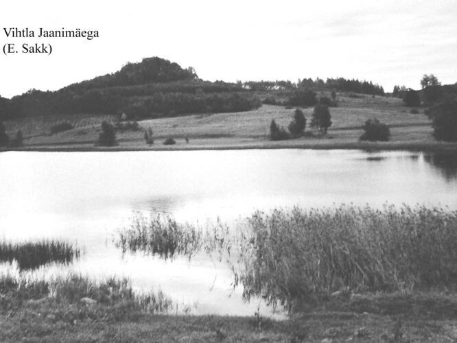 Maakond: Võrumaa Veekogu nimi: Vihtla järv Pildistamise aeg: teadmata Pildistaja: E. Sakk (Eesti Looduse arhiiv) Pildistamise koht: taga Jaanim Asimuut: