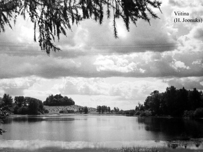 Maakond: Võrumaa Veekogu nimi: Viitina järv Pildistamise aeg: teadmata Pildistaja: H. Joonuks (Eesti Looduse arhiiv) Pildistamise koht: taga Meegom Asimuut: