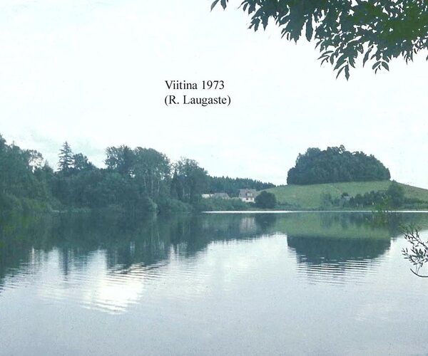 Maakond: Võrumaa Veekogu nimi: Viitina järv Pildistamise aeg: 1973 Pildistaja: R. Laugaste Pildistamise koht: taga Meegom Asimuut: