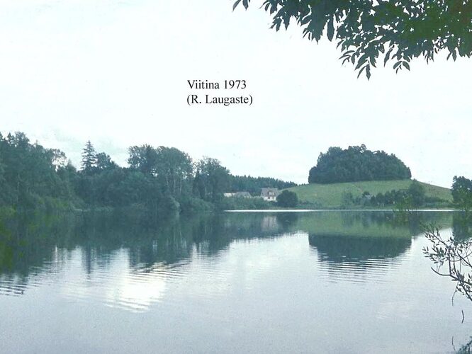 Maakond: Võrumaa Veekogu nimi: Viitina järv Pildistamise aeg: 1973 Pildistaja: R. Laugaste Pildistamise koht: taga Meegom Asimuut: