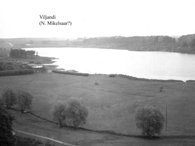 Maakond: Viljandimaa Veekogu nimi: Viljandi järv Pildistamise aeg: 12. mai 2005 Pildistaja: H. Timm Pildistamise koht: teadmata Asimuut: