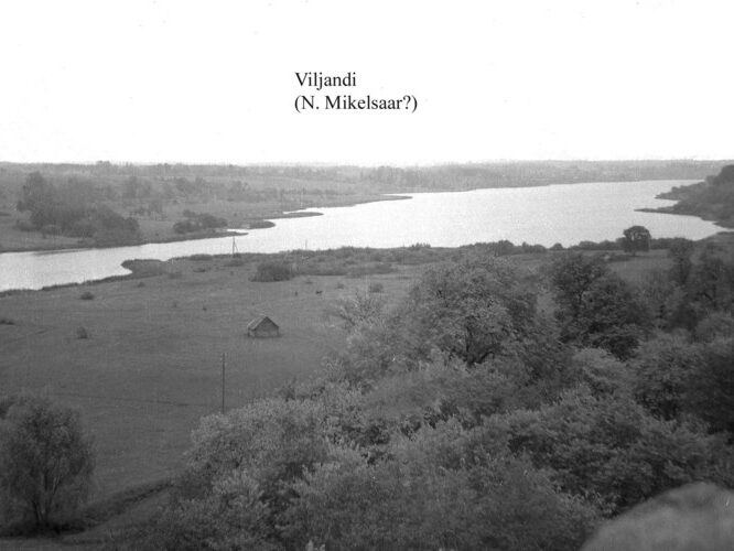 Maakond: Viljandimaa Veekogu nimi: Viljandi järv Pildistamise aeg: 12. mai 2005 Pildistaja: H. Timm Pildistamise koht: teadmata Asimuut: