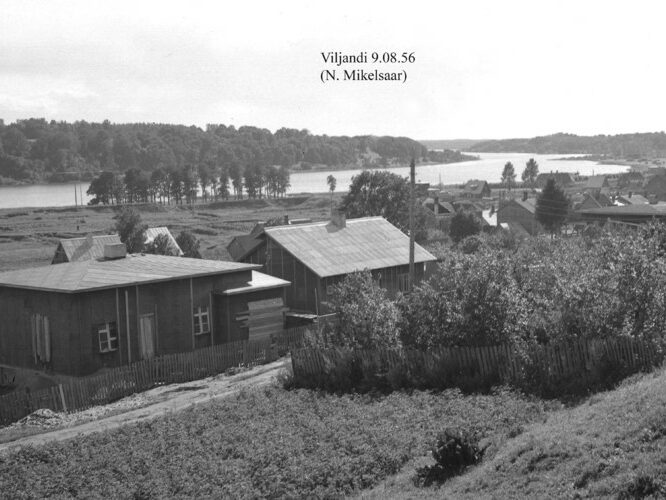 Maakond: Viljandimaa Veekogu nimi: Viljandi järv Pildistamise aeg: 9. august 1956 Pildistaja: N. Mikelsaar Pildistamise koht: N kaldalt Asimuut: SW