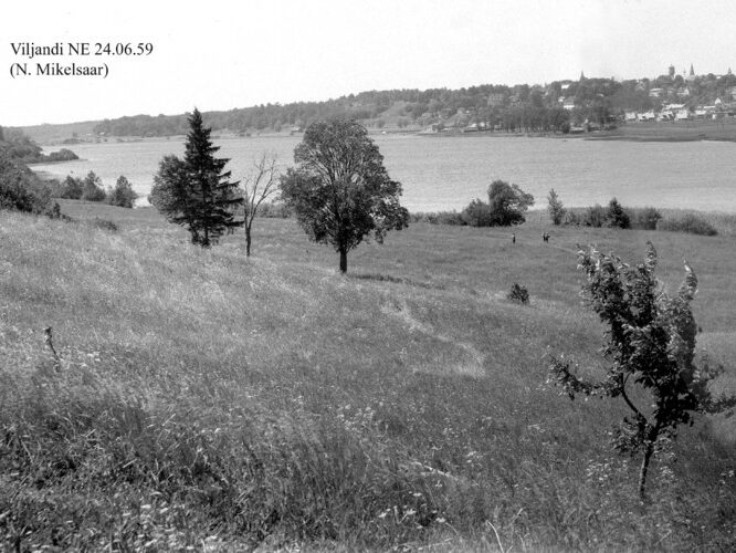 Maakond: Viljandimaa Veekogu nimi: Viljandi järv Pildistamise aeg: 24. juuni 1959 Pildistaja: N. Mikelsaar Pildistamise koht: NE kaldalt Asimuut: WNW