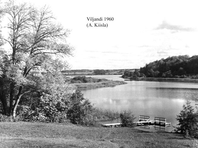 Maakond: Viljandimaa Veekogu nimi: Viljandi järv Pildistamise aeg: 1960 Pildistaja: A. Kiisla (Eesti Looduse arhiiv) Pildistamise koht: teadmata Asimuut: