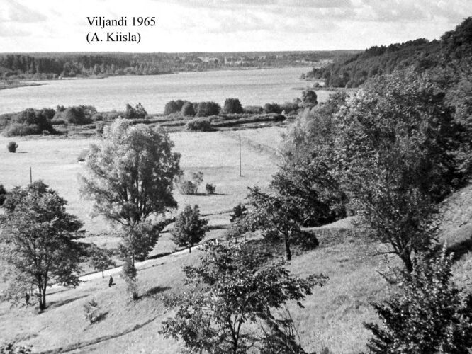 Maakond: Viljandimaa Veekogu nimi: Viljandi järv Pildistamise aeg: 1965 Pildistaja: A. Kiisla (Eesti Looduse arhiiv) Pildistamise koht: teadmata Asimuut: